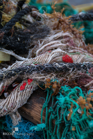 Knitting with jetsam and flotsam, photographed by Maurizio Riccio