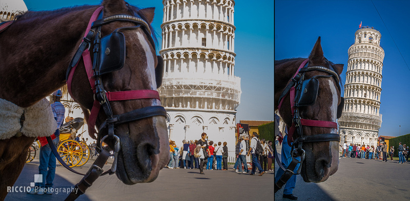 Horse carriage in front of the Tower of Pisa. Photographed by Maurizio Riccio