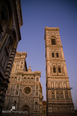 Florence 094-15