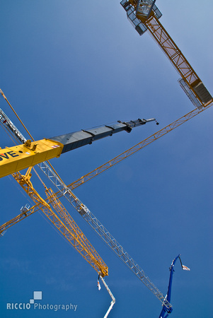 Metal cranes. Photographed by Maurizio Riccio