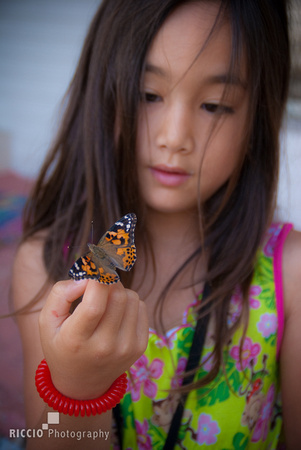 Child holding a butterfly. Photographed by Maurizio Riccio