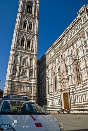 Florence 312-55