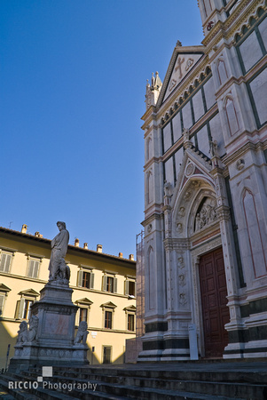 Florence 281-50